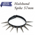 Bild 3 von Nietenhalsband, eXtra Collection >> Nietenhalsband mit Spikenieten 57mm, eXtrem Choker